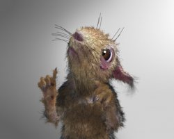 Семок нет, есть твои подружки.