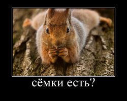 21 жизненная открытка для отличного настроения