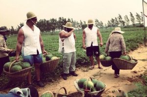 Подборка веселых фото не требующих комментариев