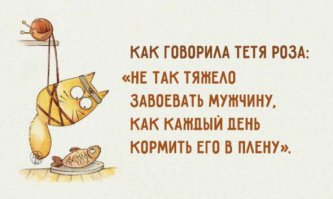 21 жизненная открытка для отличного настроения