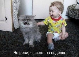Декабрьская подборка