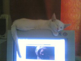 Моя, 2008 год.