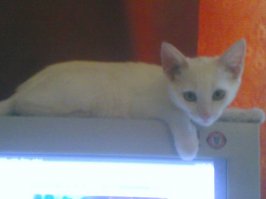 Моя, 2008 год.