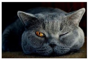 Всегда на стреме