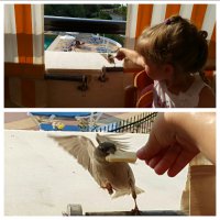 Удачный кадр