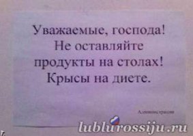Смешные надписи и объявления