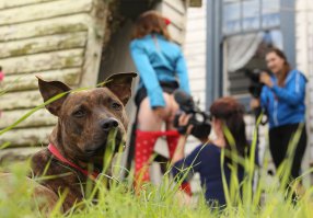 Удивительно, что фотографии стали настолько популярны, и радуют многих людей???