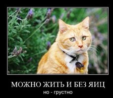 20 фотографий, которые показывают как выглядят настоящая печаль