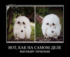20 фотографий, которые показывают как выглядят настоящая печаль