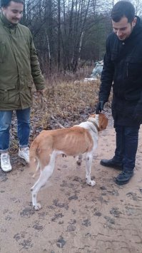 Вот такую девочку мы нашли 2 недели назад.