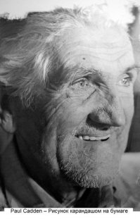 Невероятно реалистичные рисунки из Бразилии