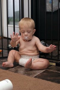 Ангела Меркель, начало.