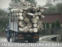 Да ладно, небольшой перегруз.