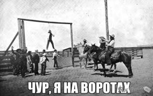 Фотоподборка за 08.12.2015
