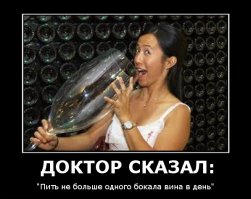 Фотоподборка за 08.12.2015