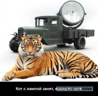 "Идите в попу, тётя"