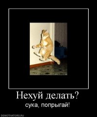О чё нашёл