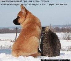 Кто сказал, что гусь свинье не товарищ?