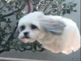 16 снимков, сделанных в самый подходящий момент