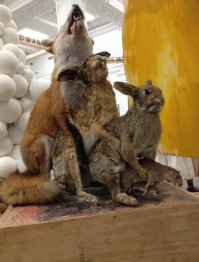 А таксидермисты-то,шутники оказывается...