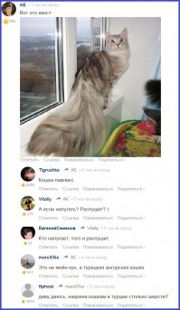 Смешные комментарии из социальных сетей