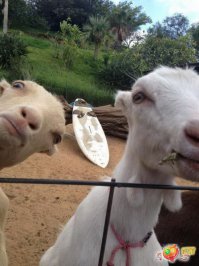 Лучше быть параноиком, чем с ножом в спине!