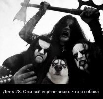 Apocalyptica сыграла гимн России в Новосибирске