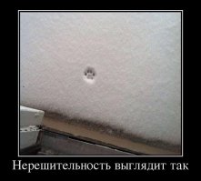 Обычно Пит пользовался своей дверью, но категорически отказывался выходить через нее, как только выпадал снег. Тогда он принуждал меня открывать ему человечью дверь.

Еще пушистым шустрым котенком Пит выработал для себя простую философию, в соответствии с которой я должен был отвечать за жилье, пищу и погоду, а он — за все остальное. Особая ответственность, считал он, лежала на мне за погоду. А вы знаете, что зимы к Коннектикуте хороши только разве что на рождественских открытках.

Той зимой Пит взял за правило подходить к своей двери, обнюхивать ее — и поворачивать обратно. Его, видите ли, не устраивало противное белое вещество, покрывавшее землю и все вокруг. Он начинал приставать ко мне, чтобы я открыл ему человечью дверь, ибо был твердо убежден: хоть одна из дверей да должна открываться в лето. Поэтому всякий раз мне приходилось обходить вместе с ним все одиннадцать дверей и приоткрывать их по очереди, дабы он убедился, что за каждой из них та же зима. И с каждым новым разочарованием росло его недовольство мною.