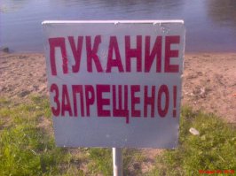 Почему не стоит поворачиваться спиной к кошкам