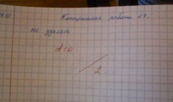 20 забавных записей из школьных дневников