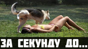 16 снимков, сделанных в самый подходящий момент