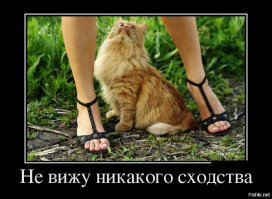 Фотоподборка