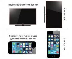 Почему не стоит поворачиваться спиной к кошкам