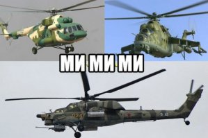 Кошка привела котят, чтобы познакомить их со своим старым другом