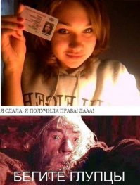 Королевы Дорог