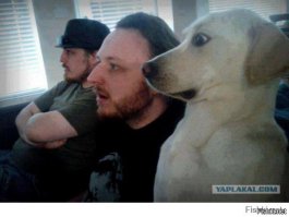 Бесподобно!