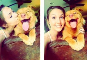 Доброты пост: 42 счастливых пса, которые обрели новый дом в этом году