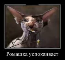 Правда о Зое Космодемьянской