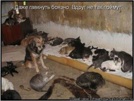  27 примеров, доказывающих, что мы находимся в Матрице