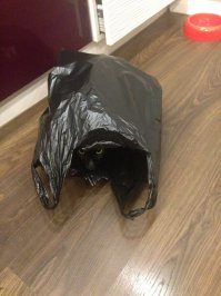 Когтеточка в виде собаки, позволяющая кошкам насладиться сладкой местью