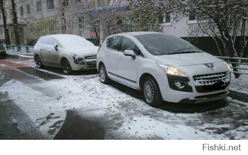 вышел утром, а здесь такое. Наверное размноились...