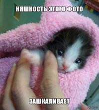 Семья оживила замерзшего котенка, найденного под снегом