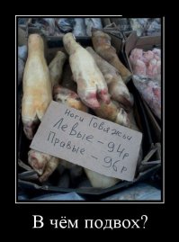 Демотиваторы прикольные, а потом все остальное