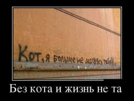 Демотиваторы прикольные, а потом все остальное