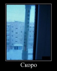 И сетка москитная стоит,- комары зимой особо опасны!