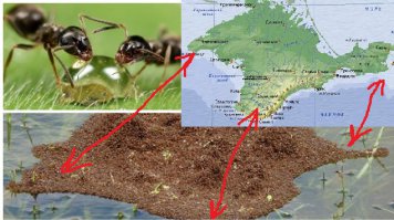 Просто показалось