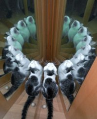 Вызывает сильную, независимую женщину