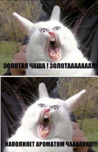 Когда все пишут про добро