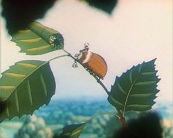 Обожаю как там гусеница кричит