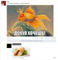 Смешные комментарии и высказывания из социальных сетей 